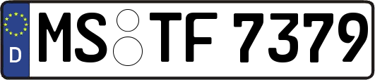 MS-TF7379