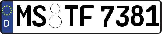 MS-TF7381