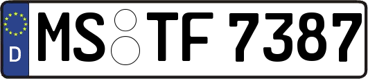 MS-TF7387