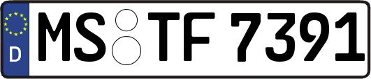 MS-TF7391