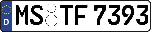 MS-TF7393