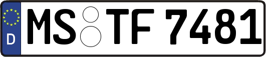 MS-TF7481