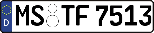 MS-TF7513