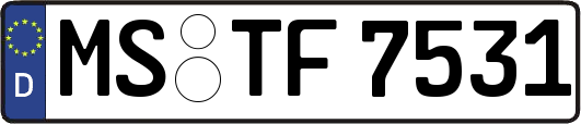 MS-TF7531
