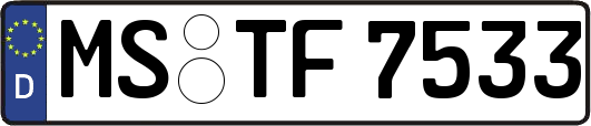 MS-TF7533