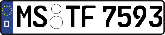 MS-TF7593