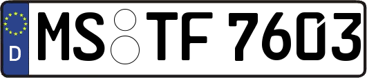 MS-TF7603