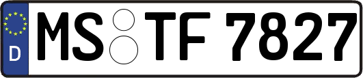 MS-TF7827