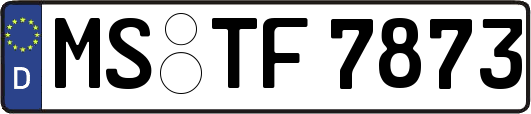 MS-TF7873