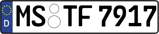 MS-TF7917