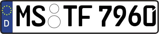 MS-TF7960