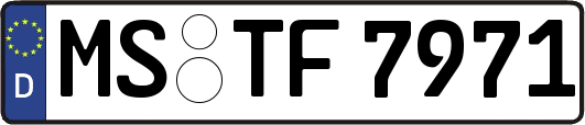 MS-TF7971