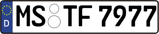 MS-TF7977