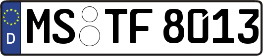 MS-TF8013