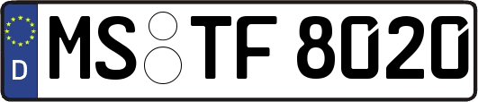 MS-TF8020