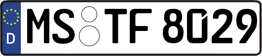 MS-TF8029