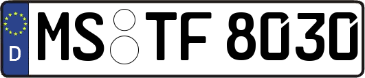 MS-TF8030