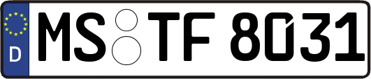 MS-TF8031