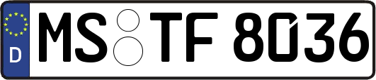 MS-TF8036