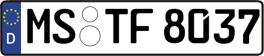 MS-TF8037