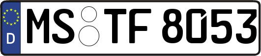 MS-TF8053