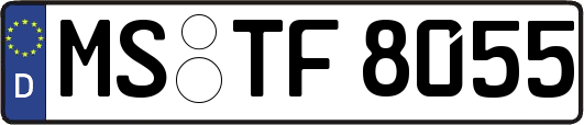 MS-TF8055