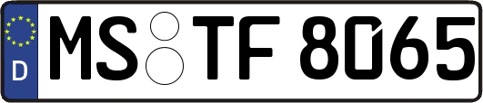 MS-TF8065