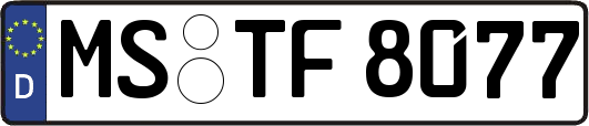 MS-TF8077