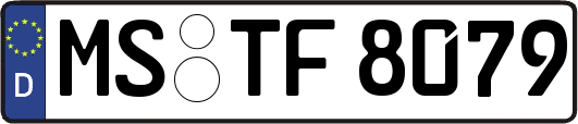 MS-TF8079