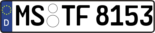 MS-TF8153