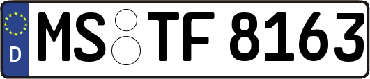 MS-TF8163