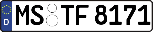 MS-TF8171