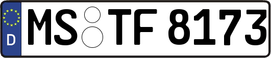 MS-TF8173
