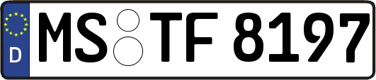 MS-TF8197