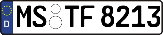 MS-TF8213