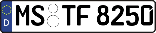 MS-TF8250