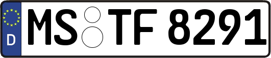 MS-TF8291