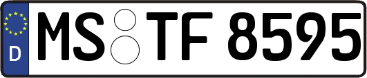 MS-TF8595
