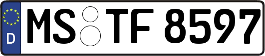 MS-TF8597