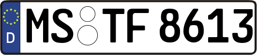 MS-TF8613