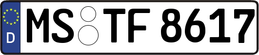 MS-TF8617
