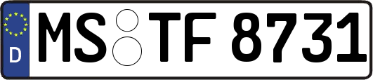 MS-TF8731