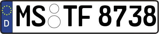 MS-TF8738