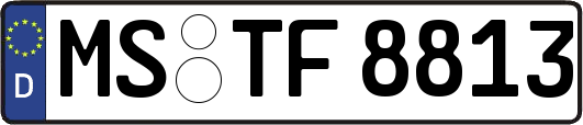 MS-TF8813