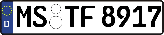 MS-TF8917