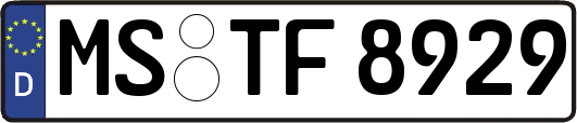 MS-TF8929