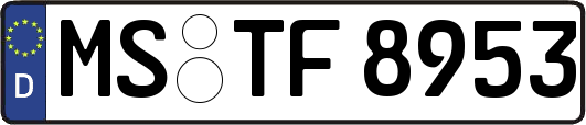 MS-TF8953