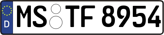 MS-TF8954