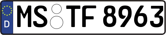 MS-TF8963