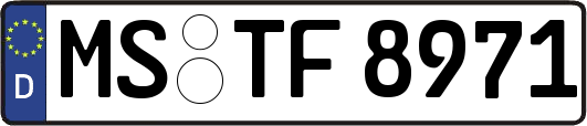 MS-TF8971